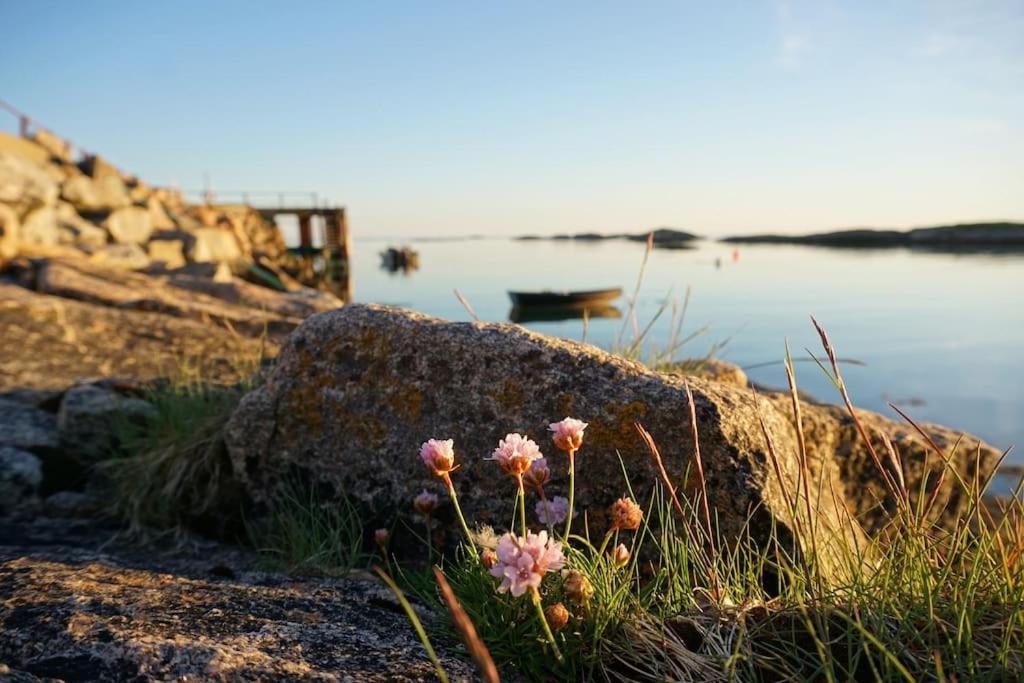 Sjarmerende Hus Med Orkesterplass Til Hav Og Fjell Stave Kültér fotó